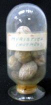 Myristica (Nutmeg) Sample