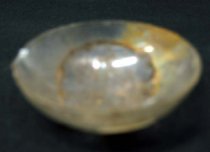 Glass Evaporating Dish