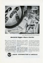 "Bacteria bigger than a Terrier"