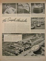 "The Simple Headache"