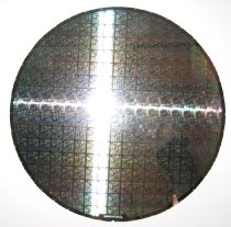 Intel Chip "Wafer"