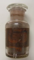 Congo Brown Dye Bottle