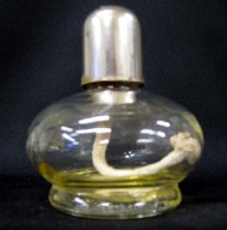 Glass Alcohol Burner Lamp