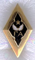 Fraternal Organization Pin