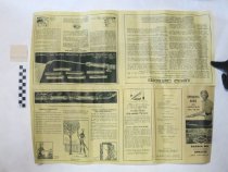 Arnold Garden Hose Sprayer for Insect Control