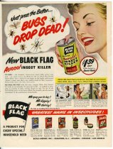 Black Flag Aerosol Insect Killer