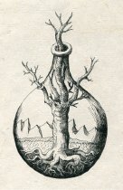 Tree outgrowing its vessel