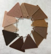 SkinTones Color Swatch Kit