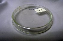 Petri Dish