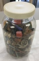 Jar Containing Plastics from Albatross Stomachs