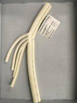 4-brand Thoracic Aortic Arch Graft