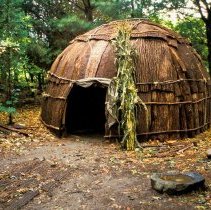 Poster 5 Woodland Style Housing