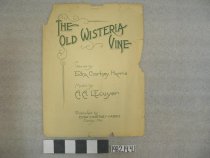 The Old Wisteria Vine