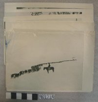 Wyoming Speaks in Pictures