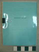 Historic Preservation Report