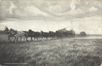 Team pulling freight & sheepwagon