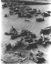 The Casper Site, 1973