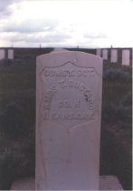 Headstone for Amos Custard