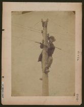 Worker repairing telegraph line