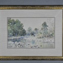 Elkhorn Creek Scene