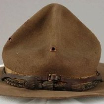 Hat, Campaign