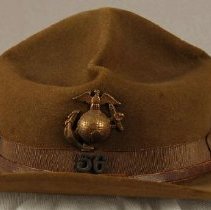 Hat, Campaign
