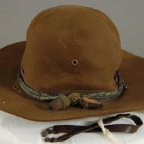 Hat, Campaign