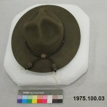 Hat, Campaign