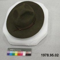 Hat, Campaign