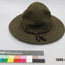 Hat, Campaign