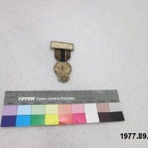 Badge, Identification
