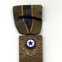 Badge, Identification