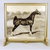 COLONEL'S DREAM 49785 / CHAMPION WEANLING ASHBA TENNESSEE FUTURITY (1950)