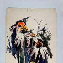 Untitled (Coneflowers)