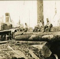 unk - Timberland Steam Donkey - Vancouver Island - 2002020001 - jpg72 - 001