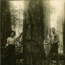 unk - Two hand fallers - North Surrey - 2002020003 - jpg72 - 001