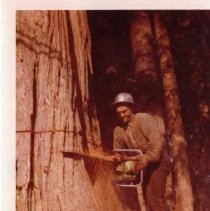 1959 - Peter Tokar and chainsaw - Duncan - 2017010010 - jpg72 - 001