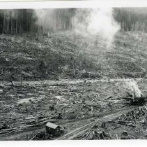 1945-46 - Salvage Logging - Copper Canyon - 2020067004 - jpg72 - 001-003