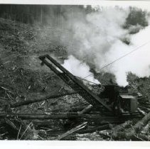1945-46 - Salvage Logging - Copper Canyon - 2020067004 - jpg72 - 001-003