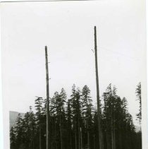 1946 - Rigup Goat - Copper Canyon - 2020067005a-c - jpg72 - 001