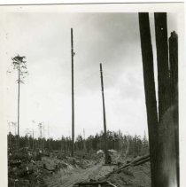 1946 - Rigup Goat - Copper Canyon - 2020067005a-c - jpg72 - 001