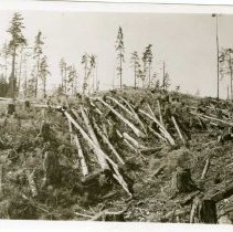 1948 - Waste Survey - Chemainus - 2020067018a-f - jpg72 - 001