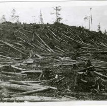 1948 - Waste Survey - Chemainus - 2020067018a-f - jpg72 - 001