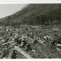 1948 - Waste Survey - Chemainus - 2020067018a-f - jpg72 - 001