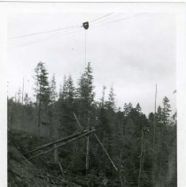 unk - Dropline Carriage - unk - 2020067021a-c - jpg72 - 001