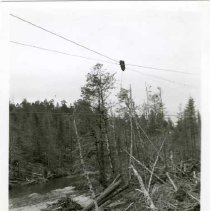 unk - Dropline Carriage - unk - 2020067021a-c - jpg72 - 001