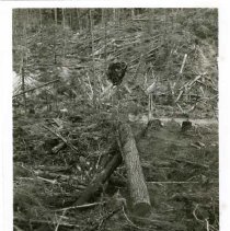 unk - Dropline Carriage - unk - 2020067021a-c - jpg72 - 001