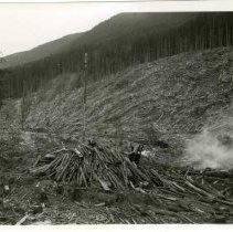 1945 - Cold Pile - unk - 2020067022a-c - jpg72 - 001