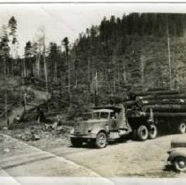 1940 - New fleet of trucks - Camp 8, Great Central - 2021071021 - jpg72 - 001
