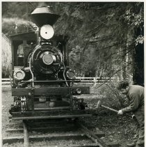 1970-71 - Old Two Spot Restored - Somenos Lake - 1992001005 - jpg72 - 001